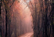 成都亚健康调理指南：告别身体被掏空，重塑健康活力