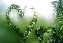 成都养生指南：中年白领亲测，调理脾胃少踩坑的实用方法