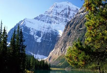 成都亚健康调理指南：告别身体被掏空，重塑健康活力