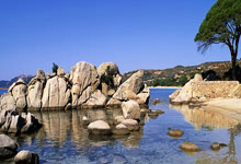 成都亚健康调理指南：告别身体被掏空，重塑健康活力